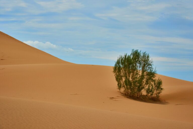 Altyn Emel National Park