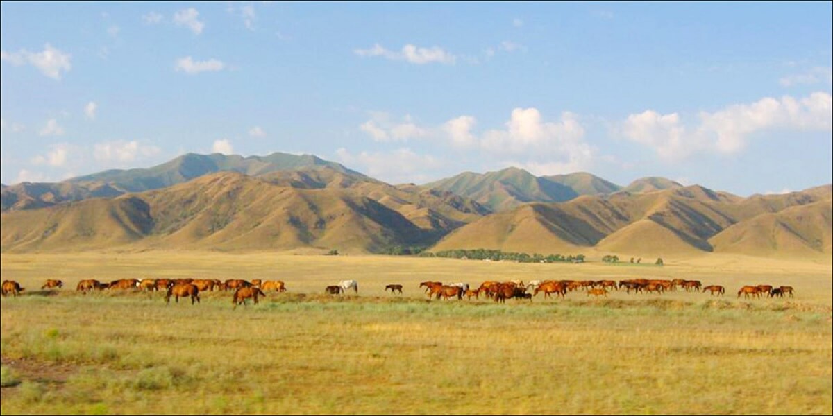 south kazakhstan