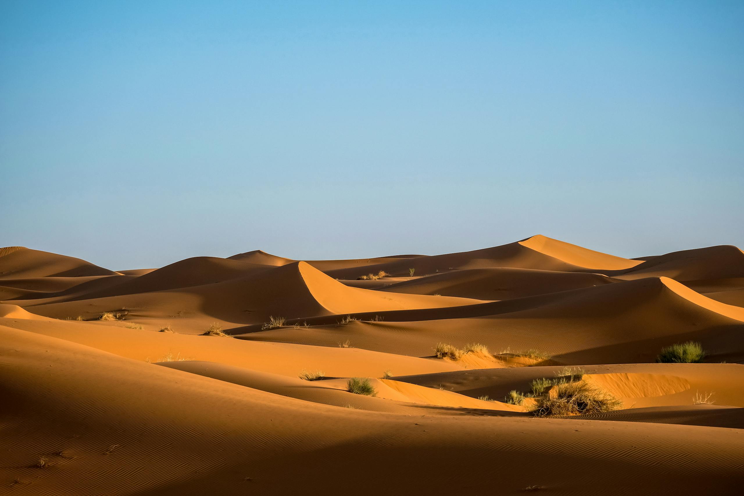 Kazakhstan desert adventures