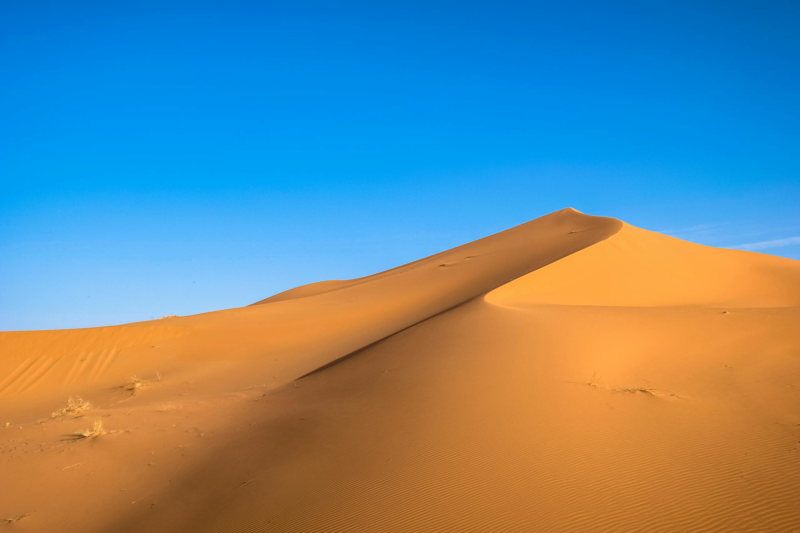 Photo of Brown Sand