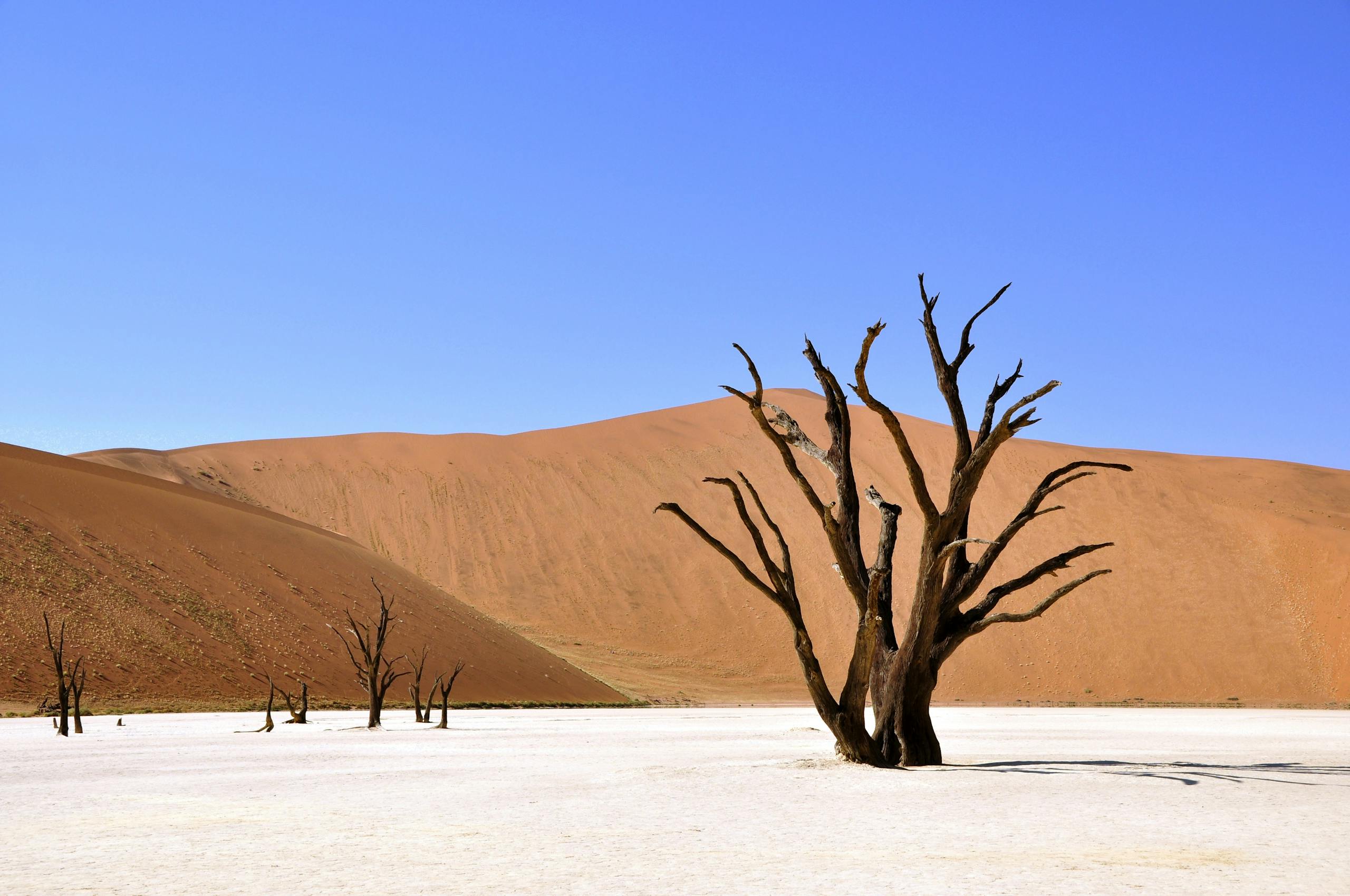 Kazakhstan desert adventures