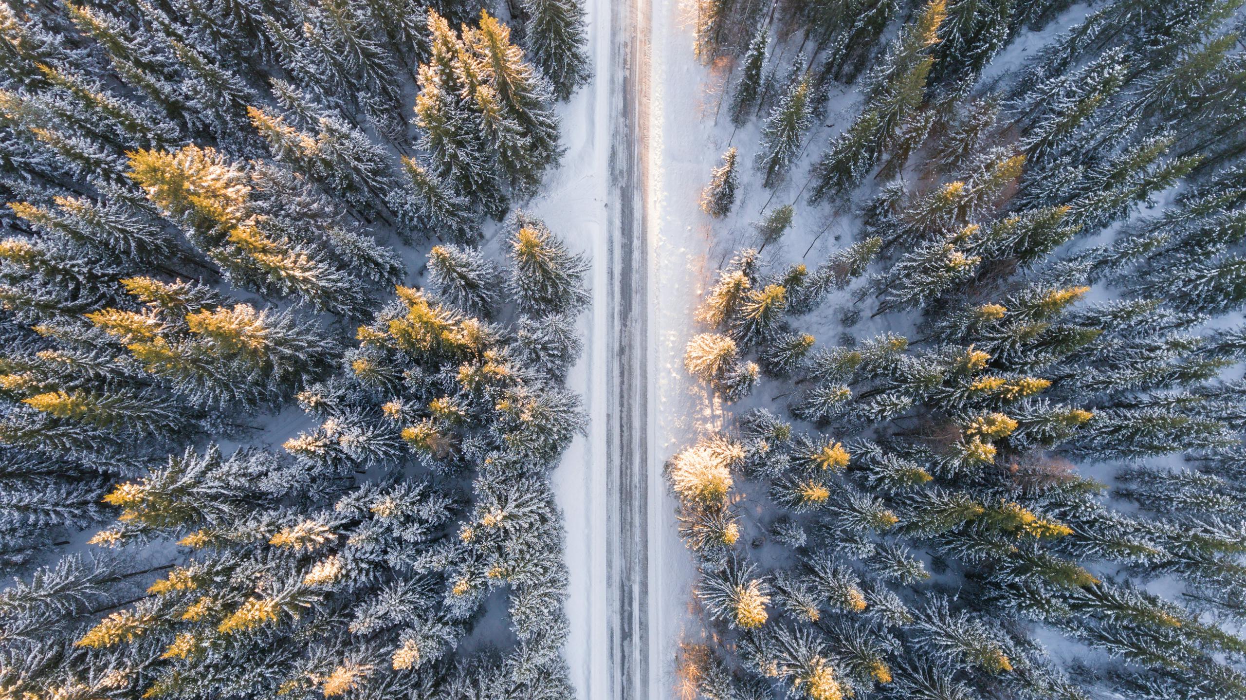 Almaty winter months